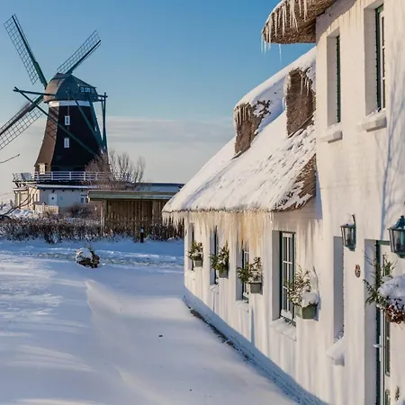 Moehlenhus Peter Jensen * 펠웜