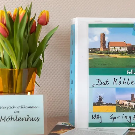 Moehlenhus Peter Jensen Appartamento Pellworm